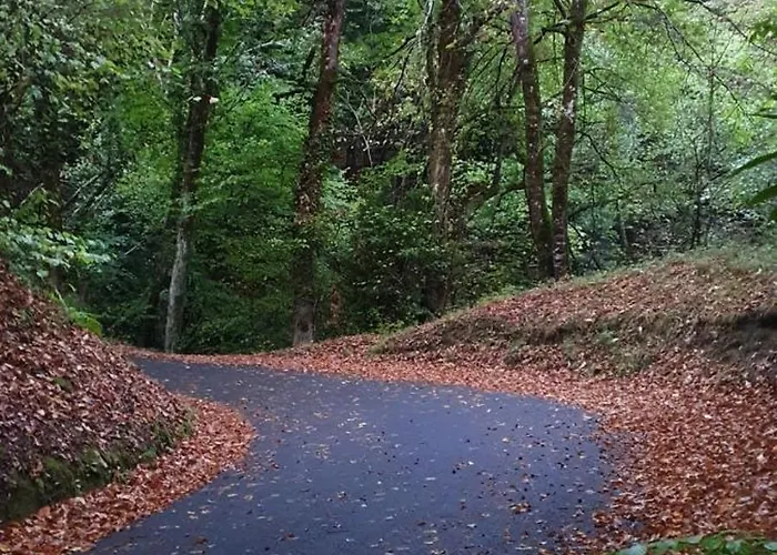 Charming Pyrenees House 펜션 *