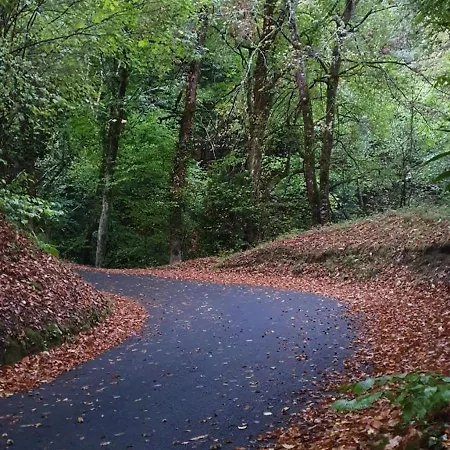 Charming Pyrenees House Ferienhaus *
